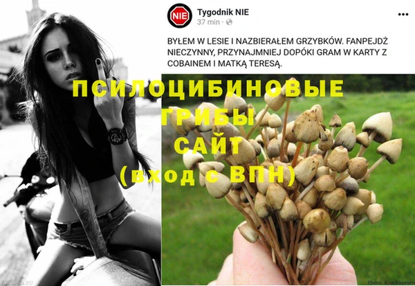 твердый Арсеньев