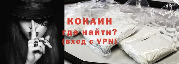 твердый Арсеньев