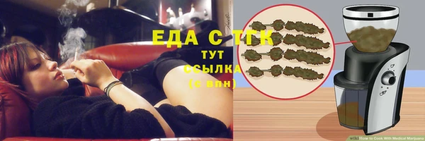 индика Аркадак