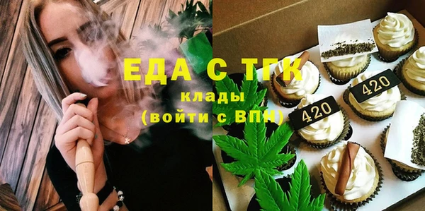 индика Аркадак