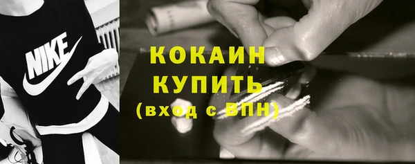 твердый Арсеньев