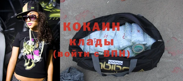 индика Аркадак