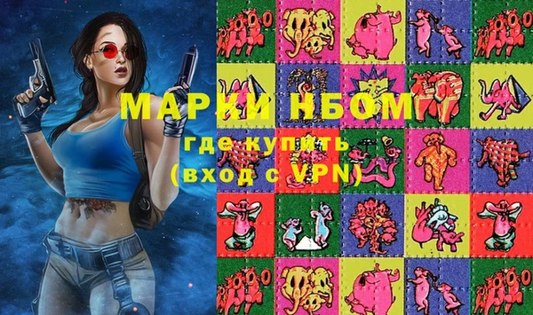 индика Аркадак