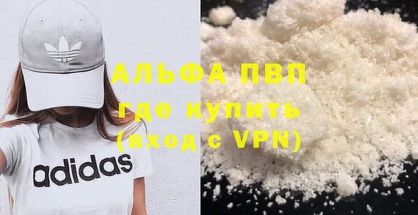 индика Аркадак
