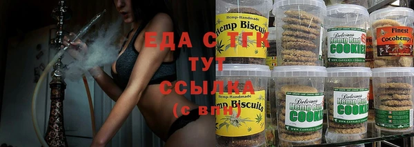 индика Аркадак
