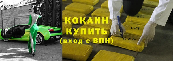 индика Аркадак