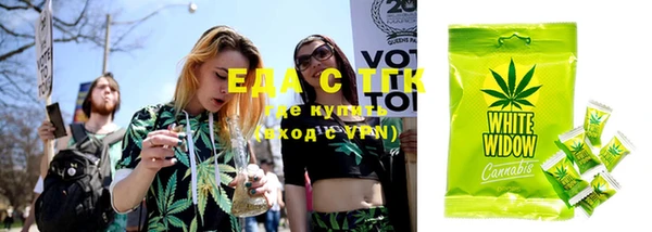 индика Аркадак
